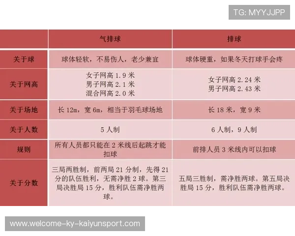 _气排球运动：室内外皆可享受的趣味运动_，气排球运动规则